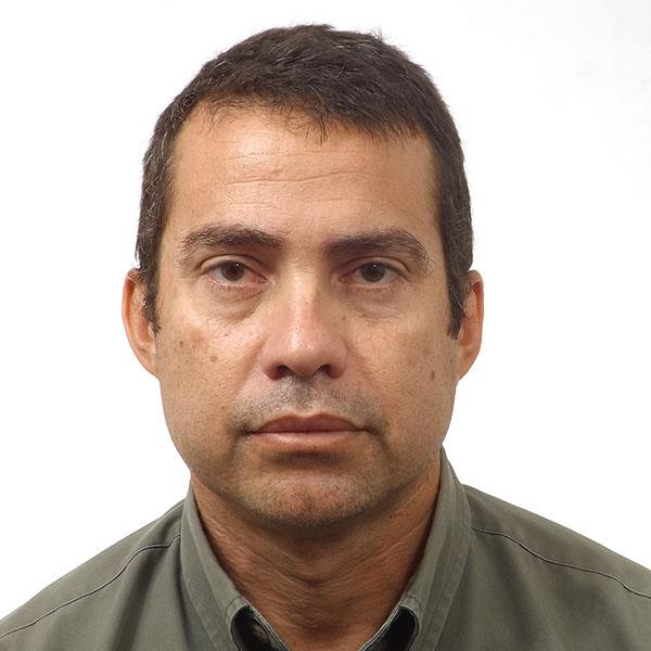 Clases online y particulares para educación básica, de todas las materias del pensum