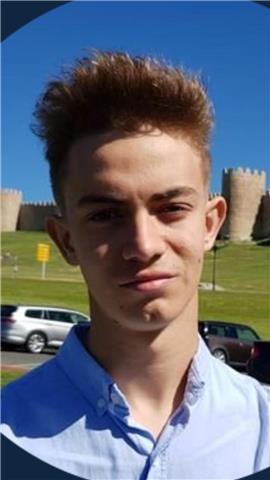 Historia, historia del arte, geografía, historia del mundo contemporáneo, historia de españa