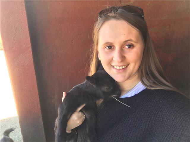 Maestra primaria, ingles y pt/al. apoyo para junio. opción de julio online