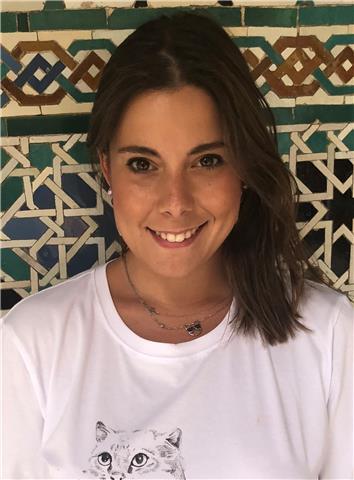 Historia, historia del arte, geografía, filosofía, ciencias sociales-humanidades