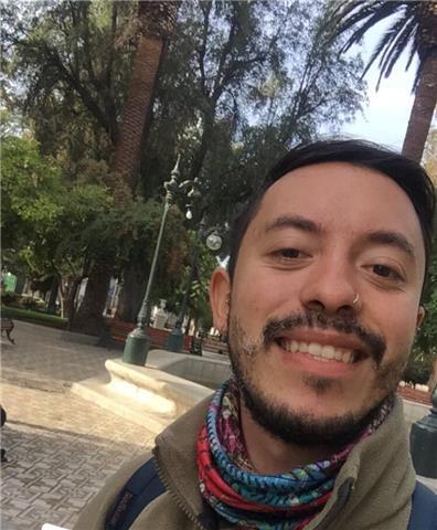 Profesor de Fisica, Basica/Media/Universitario