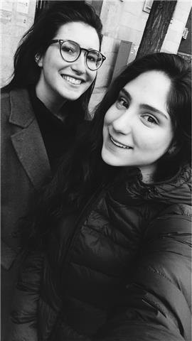 Profesor de programación en python y otros lenguajes