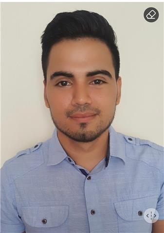 Profesor de inglés nativo con estudios profesionales en American Language Communication Center ( New York City )