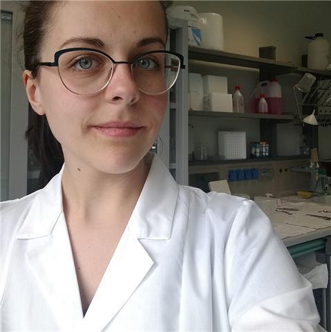 Insegnante di matematica per ragazzi delle scuole medie e superiori