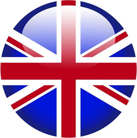 Insegnante inglese con ottime competenze