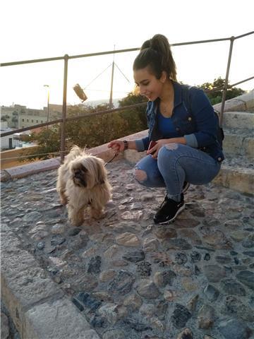 user photo