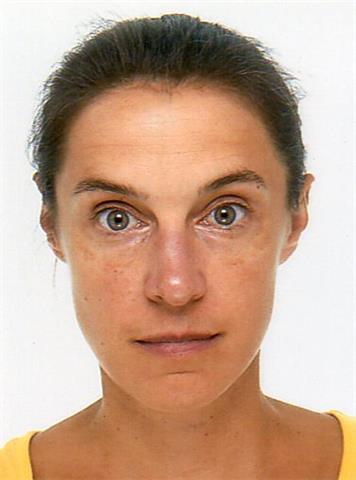 Clases de ingles y/o frances