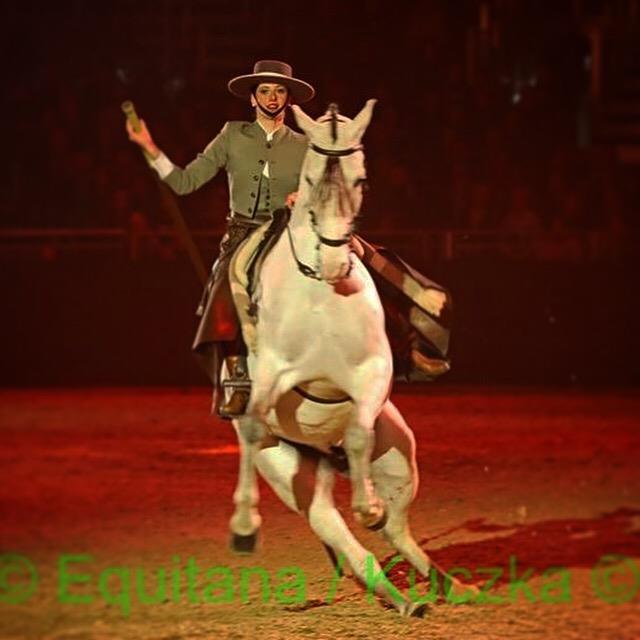 Bonjour, je réalise des spectacles internationaux à cheval. Je souhaite partager ma passion pour les chevaux à des jeunes intéressés