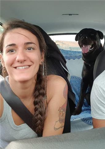 Doy clases de educación canina basadas en la relación // cuidador de perros