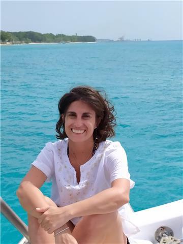 Docente impartisce lezioni di matematica e fisica online