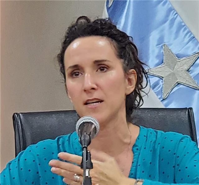Clases a medida de Lengua Castellana y Literatura. TFG y TFM