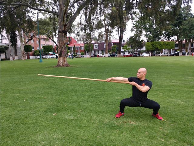 Clases particulares presenciales de Ving Tsun Kung Fu, Eskrima Filipino y defensa personal. Desde principiante a experto