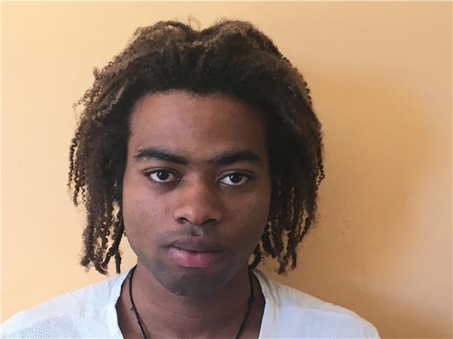 Studente di fisica offre lezioni di matematica e fisica