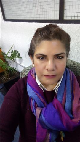 Profesor en línea para clases de español, gramática