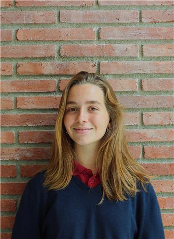 Bachillerato científico y pau superados con éxito. imparto clases de cualquier materia con flexibilidad de horario. pasión por la enseñanza