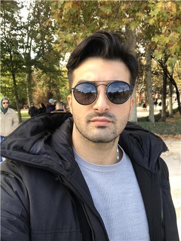 Ingegnere aerospaziale offre lezioni private di fisca