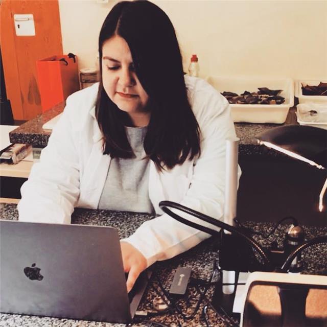 Grado en Historia, curso de monitor de ocio y tiempo libre