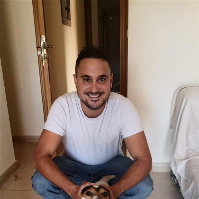 Doy clases particulares de sociales y humanidades (historia, geografía, arte, castellano, ingles, valenciano, etc)