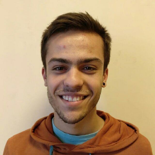 Ofrezco clases particulares online a todos los niveles de eso (mates, inglés, física, química y biología) y bachillerato (matemáticas)