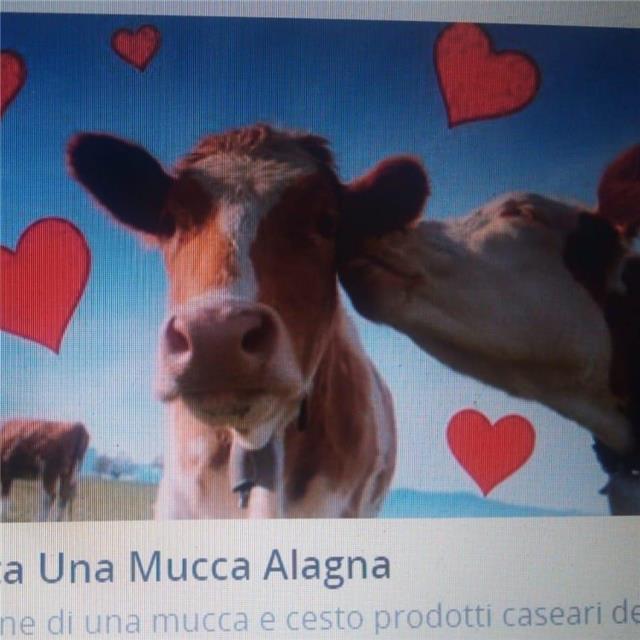 Insehnsnte ingl franc spagmolo