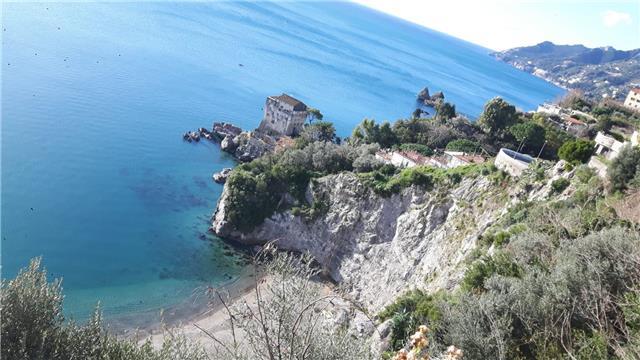 Laureata in informatica