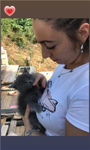 Sono una studentessa in Scienze della Formazione Primaria,offro lezioni di doposcuola,aiuto compiti in tutte le materie per bambini di scuola primaria