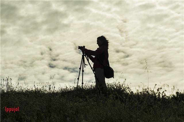 Clases particulares de fotografía